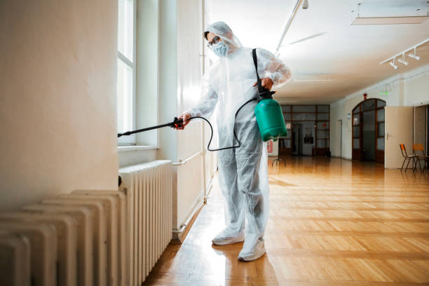 Best Real Estate Pest Inspections  in Belding, MI